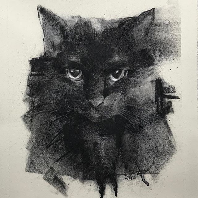 Look at this smokey black cat charcoal drawing done by James Thomas, so beautiful you could pet the page, but don't.