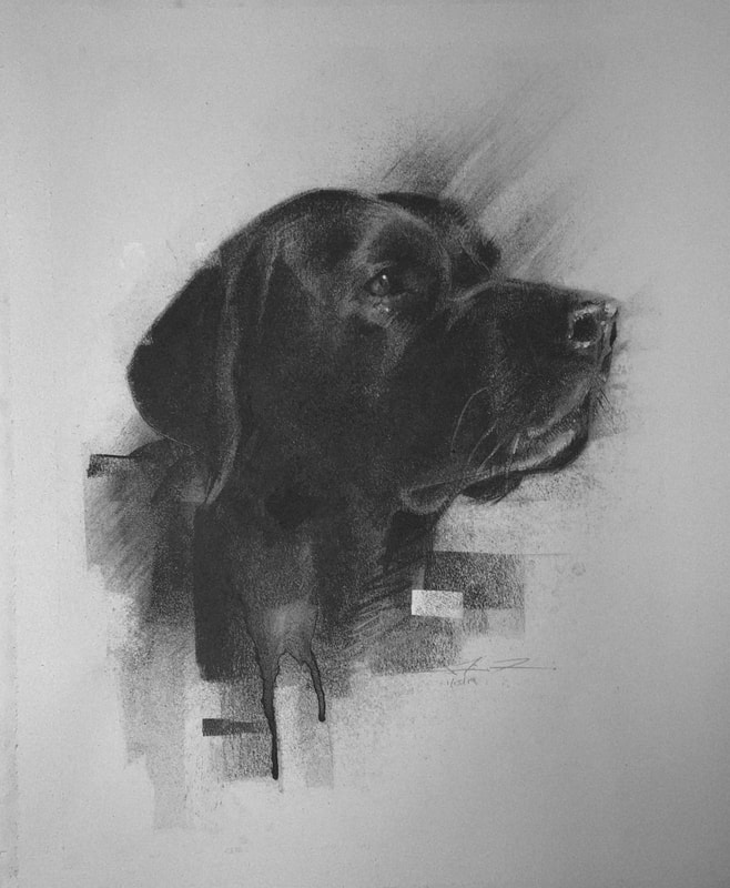 Artist James Thomas drawing in black and white charcoal of a pet portrait of a black lab